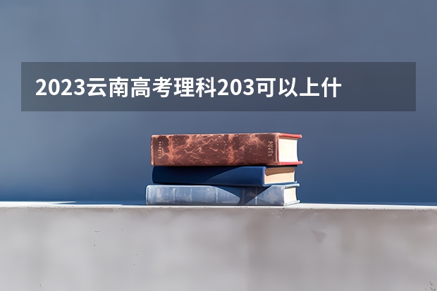 2023云南高考理科203可以上什么大学