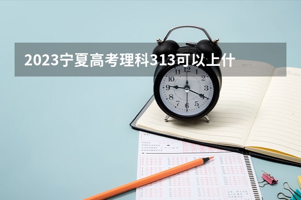 2023宁夏高考理科313可以上什么大学