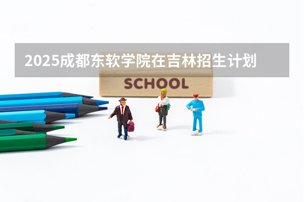 2025成都东软学院在吉林招生计划一览表