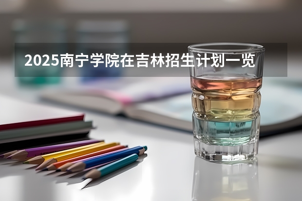 2025南宁学院在吉林招生计划一览表