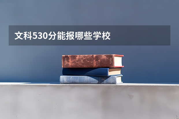文科530分能报哪些学校