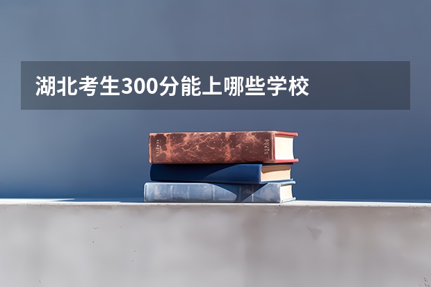 湖北考生300分能上哪些学校
