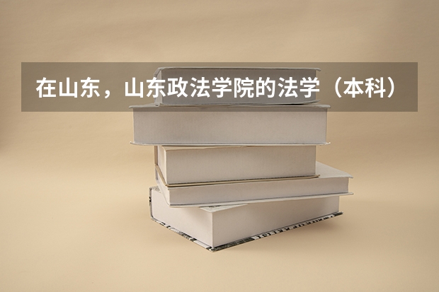 在山东，山东政法学院的法学（本科）专业怎么样？