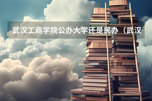 武汉工商学院公办大学还是民办（武汉民办本科大学排名）