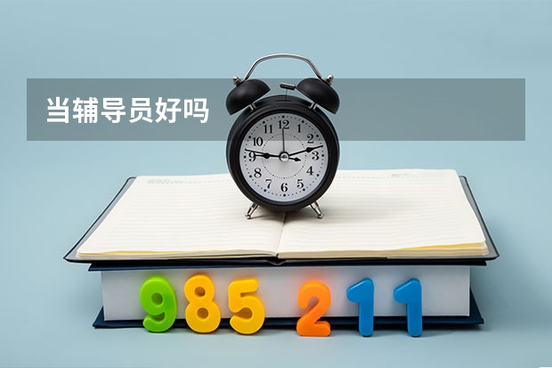当辅导员好吗