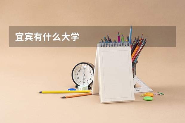 宜宾有什么大学