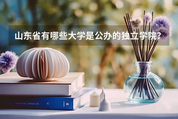山东省有哪些大学是公办的独立学院？