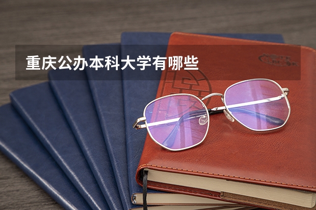 重庆公办本科大学有哪些