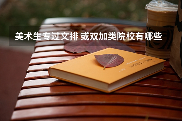 美术生专过文排 或双加类院校有哪些?