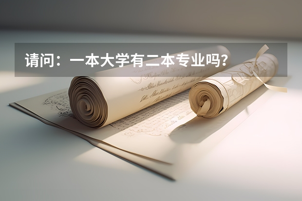 请问：一本大学有二本专业吗？
