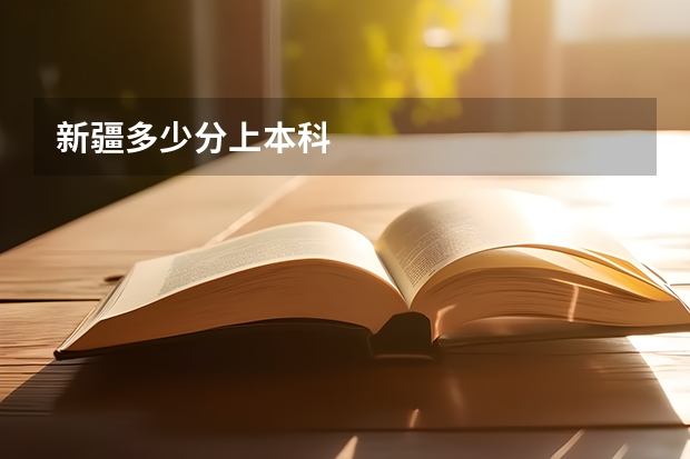 新疆多少分上本科