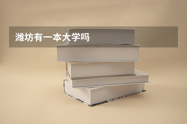 潍坊有一本大学吗