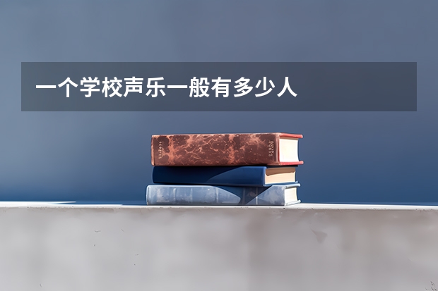 一个学校声乐一般有多少人