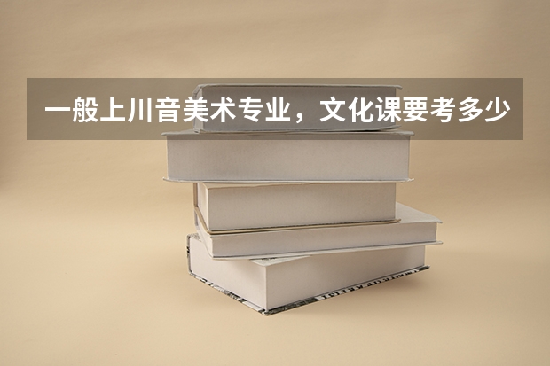 一般上川音美术专业，文化课要考多少分