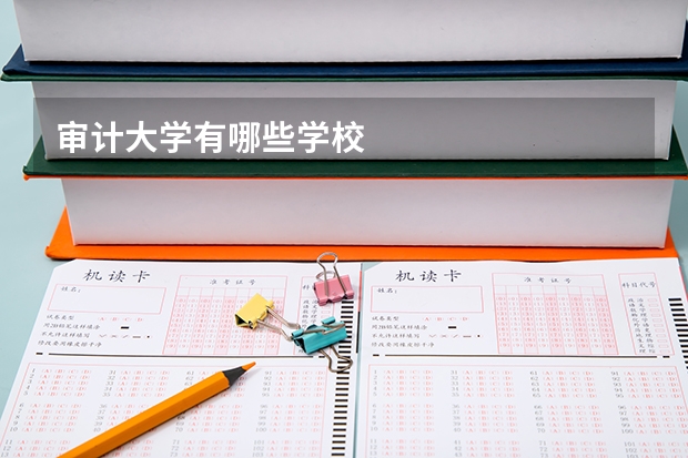 审计大学有哪些学校