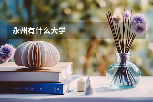 永州有什么大学