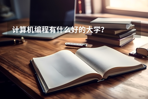 计算机编程有什么好的大学？
