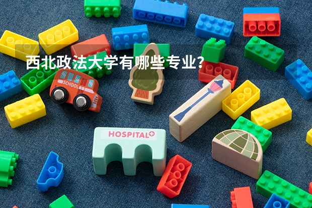 西北政法大学有哪些专业？