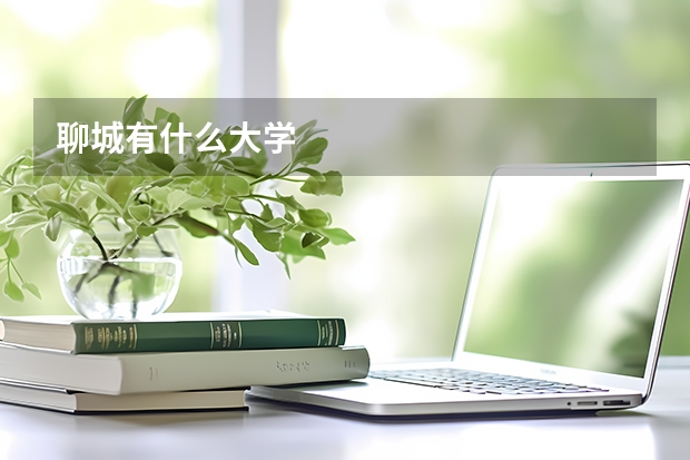 聊城有什么大学