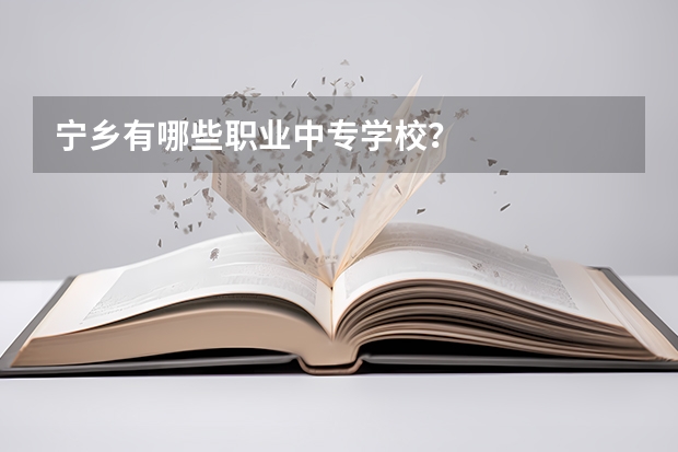 宁乡有哪些职业中专学校？
