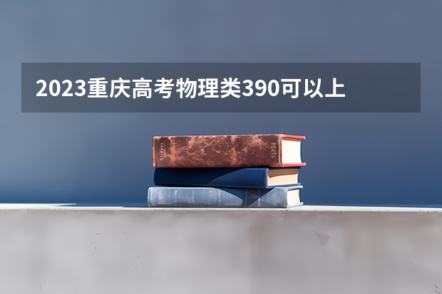 2023重庆高考物理类390可以上什么大学