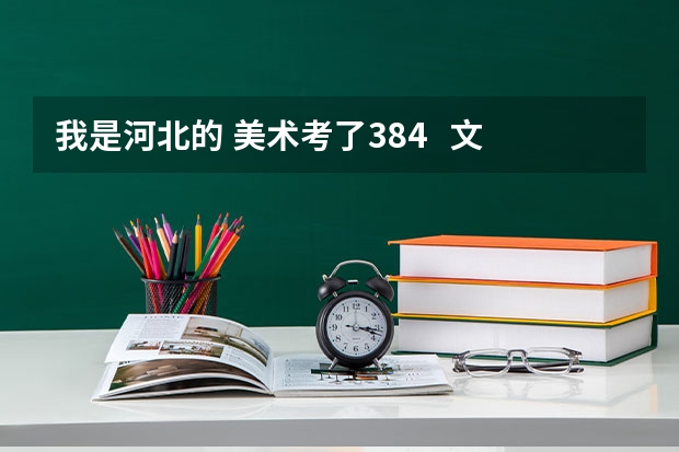我是河北的 美术考了384   文化214    能上什么学校？