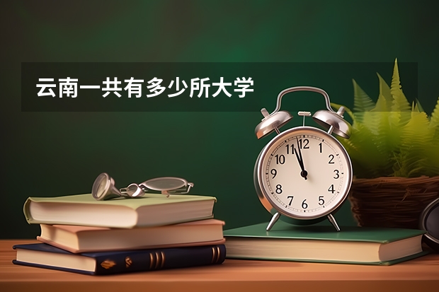 云南一共有多少所大学