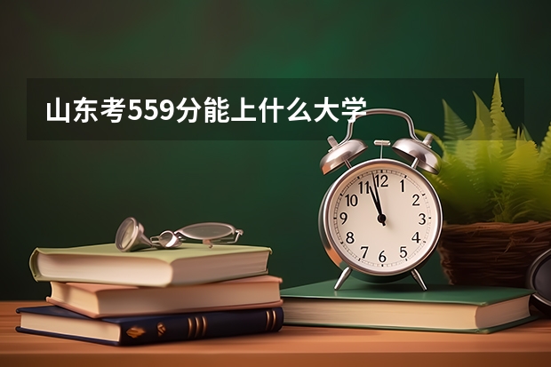 山东考559分能上什么大学