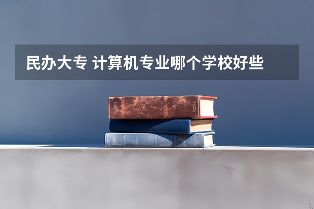 民办大专 计算机专业哪个学校好些