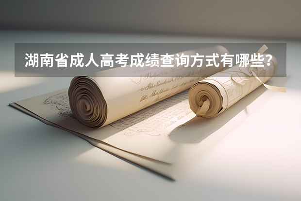 湖南省成人高考成绩查询方式有哪些？