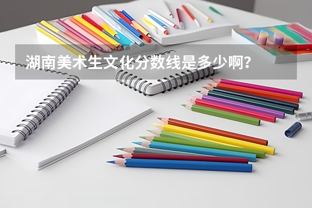 湖南美术生文化分数线是多少啊？