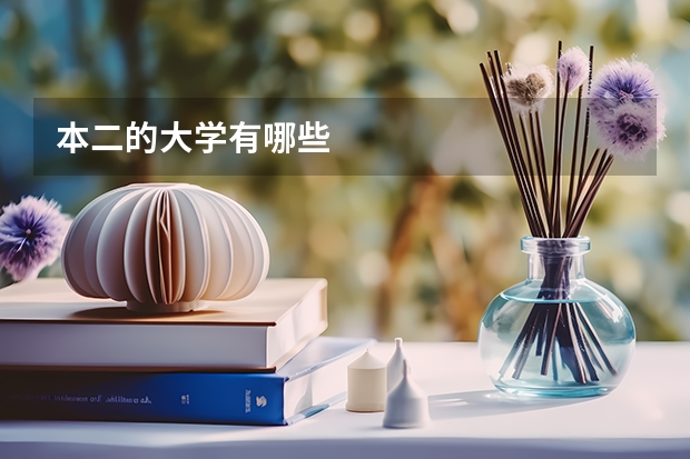 本二的大学有哪些