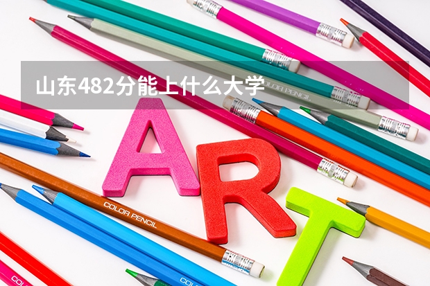 山东482分能上什么大学