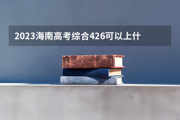 2023海南高考综合426可以上什么大学