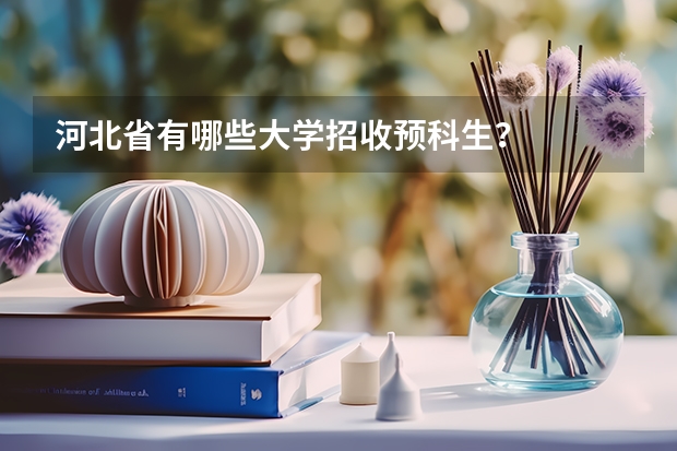 河北省有哪些大学招收预科生？