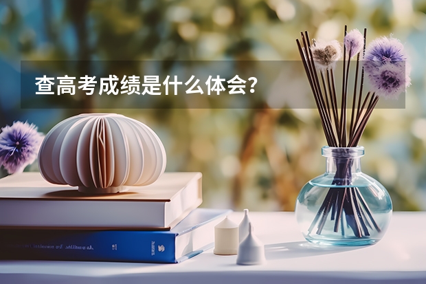 查高考成绩是什么体会？