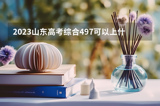 2023山东高考综合497可以上什么大学