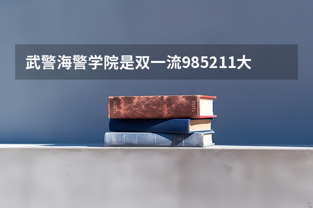 武警海警学院是双一流/985/211大学吗?历年分数线是多少