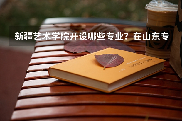 新疆艺术学院开设哪些专业？在山东专业录取分数线