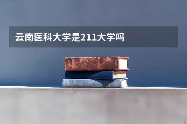 云南医科大学是211大学吗