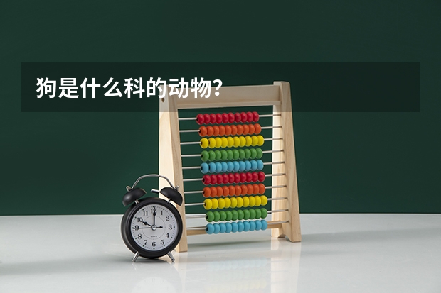 狗是什么科的动物？