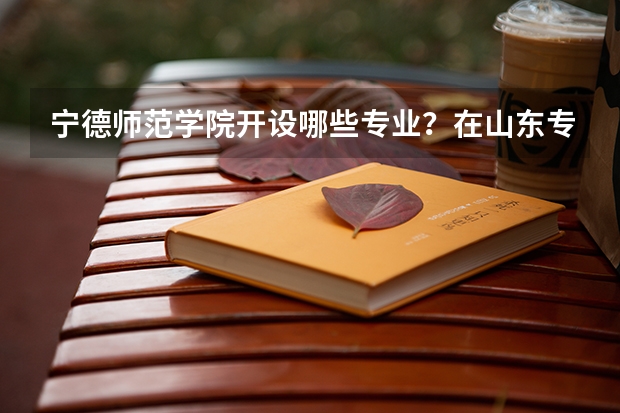 宁德师范学院开设哪些专业？在山东专业录取分数线