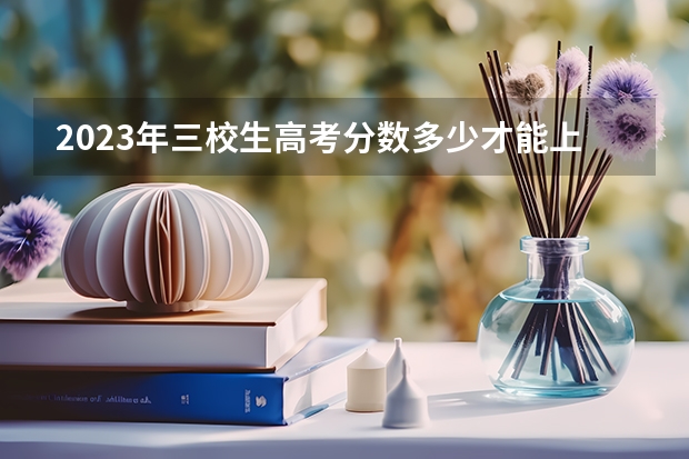 2023年三校生高考分数多少才能上九职大？