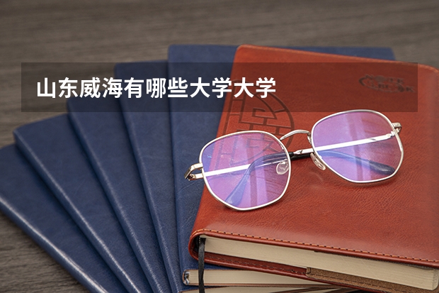山东威海有哪些大学大学