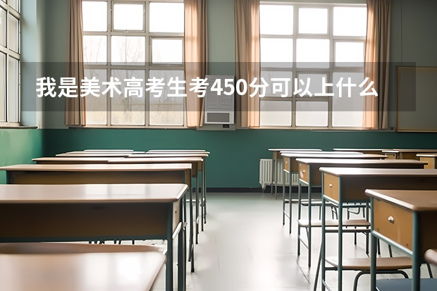 我是美术高考生考450分可以上什么学校