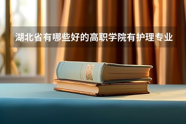 湖北省有哪些好的高职学院有护理专业啊。