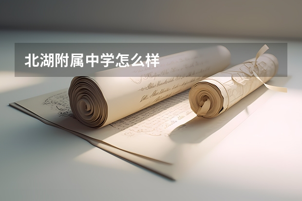 北湖附属中学怎么样
