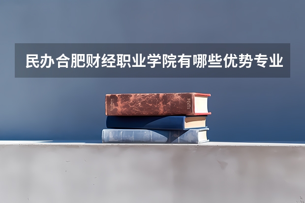 民办合肥财经职业学院有哪些优势专业？