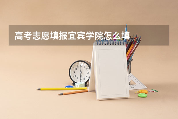 高考志愿填报宜宾学院怎么填