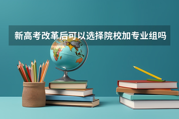 新高考改革后可以选择院校加专业组吗？